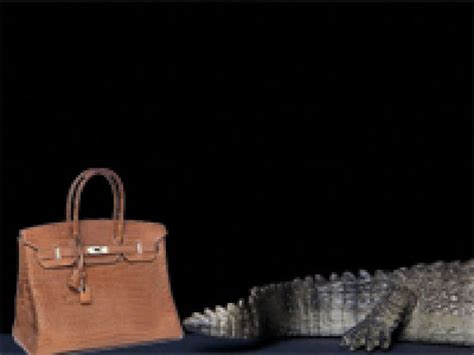 hermes breeds crocodiles